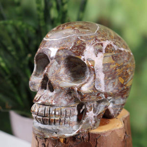 Handcrafted limestone fossil crystal skull on display, 11x8 cm, unique gemstone art from Graz Mineralien und Edelsteine Amethyst Drusen Geschäft.