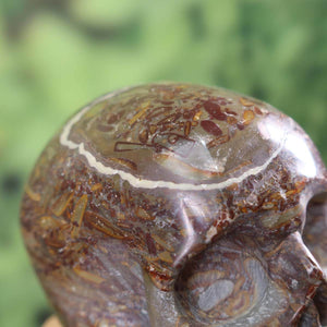 Handcrafted large crystal skull made from fossilized limestone, unique design, available at Graz Mineralien und Edelsteine Amethyst Drusen.