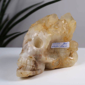 Handcrafted Golden Healer Limonitquarz skull, unique collectible crystal, 12x9 cm, available in Graz and Wiener Neustadt.