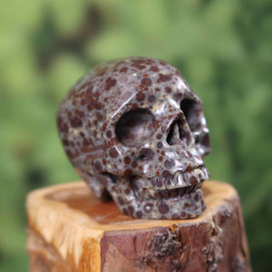 Echter handgefertigter Kalkoolith Kristall Schädel, 7x6 cm, auf Holzpodest, einzigartiges Kunstwerk für Mineralien und Edelsteine Liebhaber.