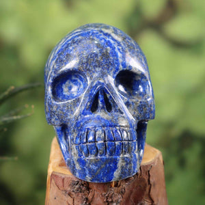 Lapislazuli Kristall Schädel - handgefertigtes Sammlerstück aus Flecklapis, 11x9 cm, faszinierendes Design.