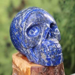 Lapislazuli Kristall Schädel - Flecklapis auf Holz, 11x9 cm, handgefertigtes Sammlerstück, Nr. 76.