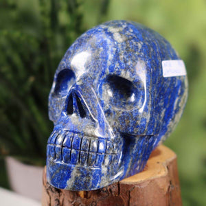 Lapislazuli Kristall Schädel - Sammlerstück aus Flecklapis, handgefertigt, 11x9 cm, einzigartiges Kunstwerk.