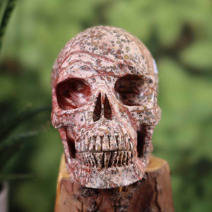 Handcrafted Rhyolite Leopard Jasper crystal skull, 12x9 cm, unique mineral gemstone art, available in Graz and Wiener Neustadt.
