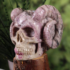 Lepidolith crystal skull with rose tourmaline, handcrafted, available at Steinwelten, collectible unique design with ram horns.