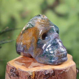 Moosachat Kristall Schädel handgefertigt - außergewöhnliche Form - Sammlerstück – Skull - 7x5 cm Nr. 401 auf Holzständer