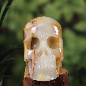 Echter großer Kristall Totenkopf aus Onyx Marmor, handgefertigtes Sammlerstück, detailreiche Natur Steinform, Steinwelten Skull.