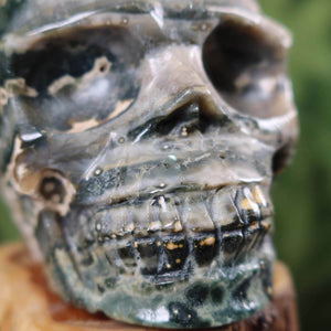 Ozeanchalcedon Kristall Schädel handgefertigt - 10x9 cm Nr. 214, detailreiche Nahaufnahme eines kunstvoll gestalteten Kristallschädel.