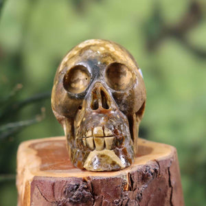 Handcrafted Ocean Chalcedony crystal skull on wooden stand, unique gemstone artwork suitable for collectors. Available at Steinwelten Online.