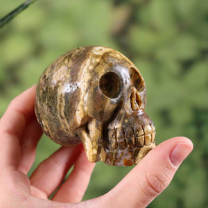Hand holding an ocean chalcedony crystal skull, handcrafted and unique, available for purchase online from Steinwelten.