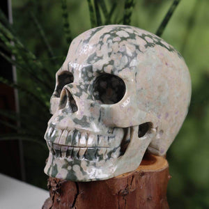 Echter großer Kristall Schädel aus Ozeanchalcedon auf Holz, handgefertigt, Unikat, 12x10 cm, Wiener Neustadt Mineralien.