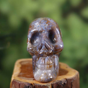 Handcrafted Pietersit crystal skull, unique collector's item, displayed in Steinwelten Graz and Wiener Neustadt, 7x6 cm.