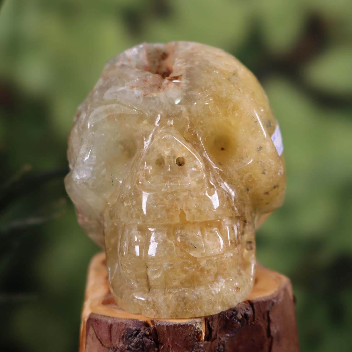 Prehnit gelb Kristallschädel handgefertigt auf Holzsockel, 9x9 cm, Sammlerstück, Nr. 161