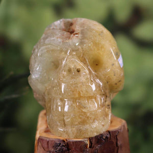 Prehnit gelb Kristallschädel handgefertigt auf Holzsockel, 9x9 cm, Sammlerstück, Nr. 161
