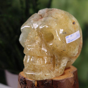 Prehnit gelb Kristallschädel handgefertigt, Sammlerstück auf Holzstand, 9x9 cm Nr. 161.