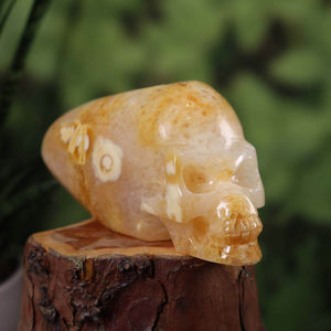Handcrafted quartz crystal skull with unique shape, collectors' item, 12x5 cm, available online at Steinwelten.