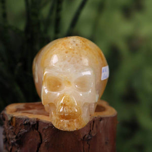 Echter Kristallschädel aus Quarz, handgefertigt, außergewöhnliche Form, Sammlerstück, Naturstein Kristallschädel online kaufen, Steinwelten