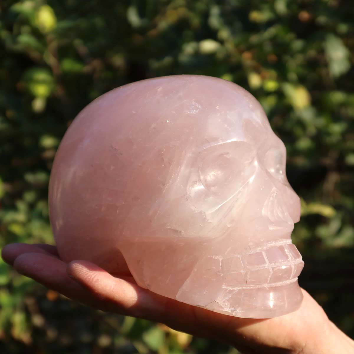 Hand holding large rose quartz crystal skull, 16x11 cm, unique handcrafted gemstone collector's item.