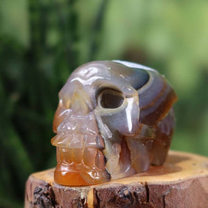 Handcrafted Sarder Crystal Skull on wood stand, unique gemstone, collector's item; available at Steinwelten, buy online.