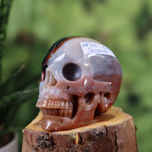 Sardonyx Kristallschädel handgefertigt - 7x6 cm Nr. 303 auf einem Holzuntergrund