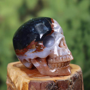 Sardonyx Kristallschädel handgefertigt - 7x6 cm Nr. 303 auf Holz mit grünem Hintergrund