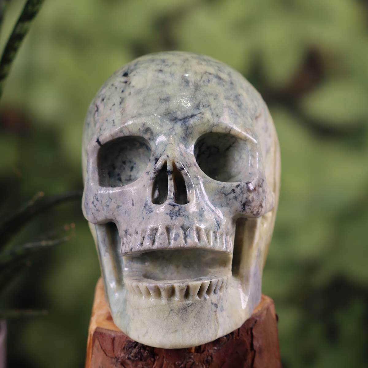 Serpentin Kristall Schädel handgefertigt - Skull - 12x10 cm Nr. 67 auf einem Holzblock, kunstvoll geschnitzt und poliert.
