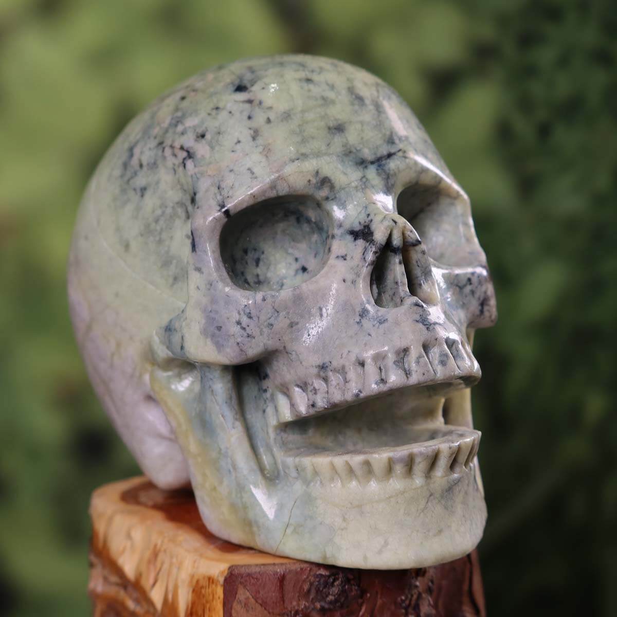 Serpentin Kristall Schädel handgefertigt - Skull - 12x10 cm Nr. 67 auf einem Holzblock, kunstvoll geschnitzt und poliert.