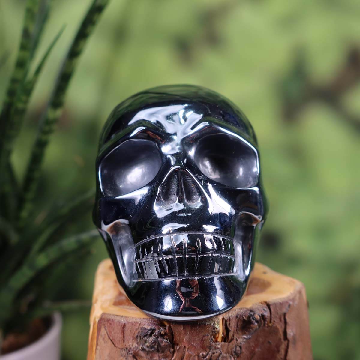 Silizium Kristall Schädel (synthetisch) - Skull - 9x7 cm Nr. 16 auf Holzstand, glänzende Oberfläche.