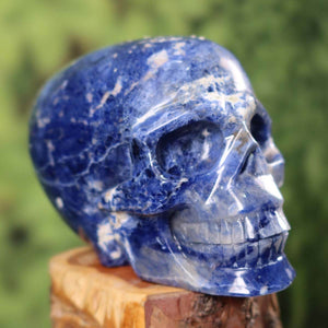 Handcrafted sodalite crystal skull, unique collector's piece. Ideal for mineral and gemstone enthusiasts, buy online at Steinwelten.