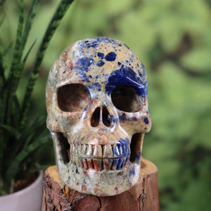 Echter Sodalith Kristall Schädel, handgefertigt, 12x10 cm, Graz Mineralien und Edelsteine, auf Holzdisplay, einzigartiger Edelstein-Skull.