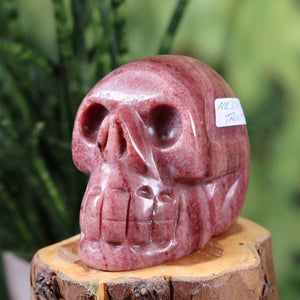 Echter Kristall Schädel handgefertigt aus Thulit 1A - außergewöhnliche Form - Sammlerstück – Skull - 7x6 cm Nr. 359