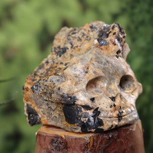 Turmalingestein Kristallschädel handgefertigt- Sammlerstück- 10x8 cm Nr. 188 auf Holzständer