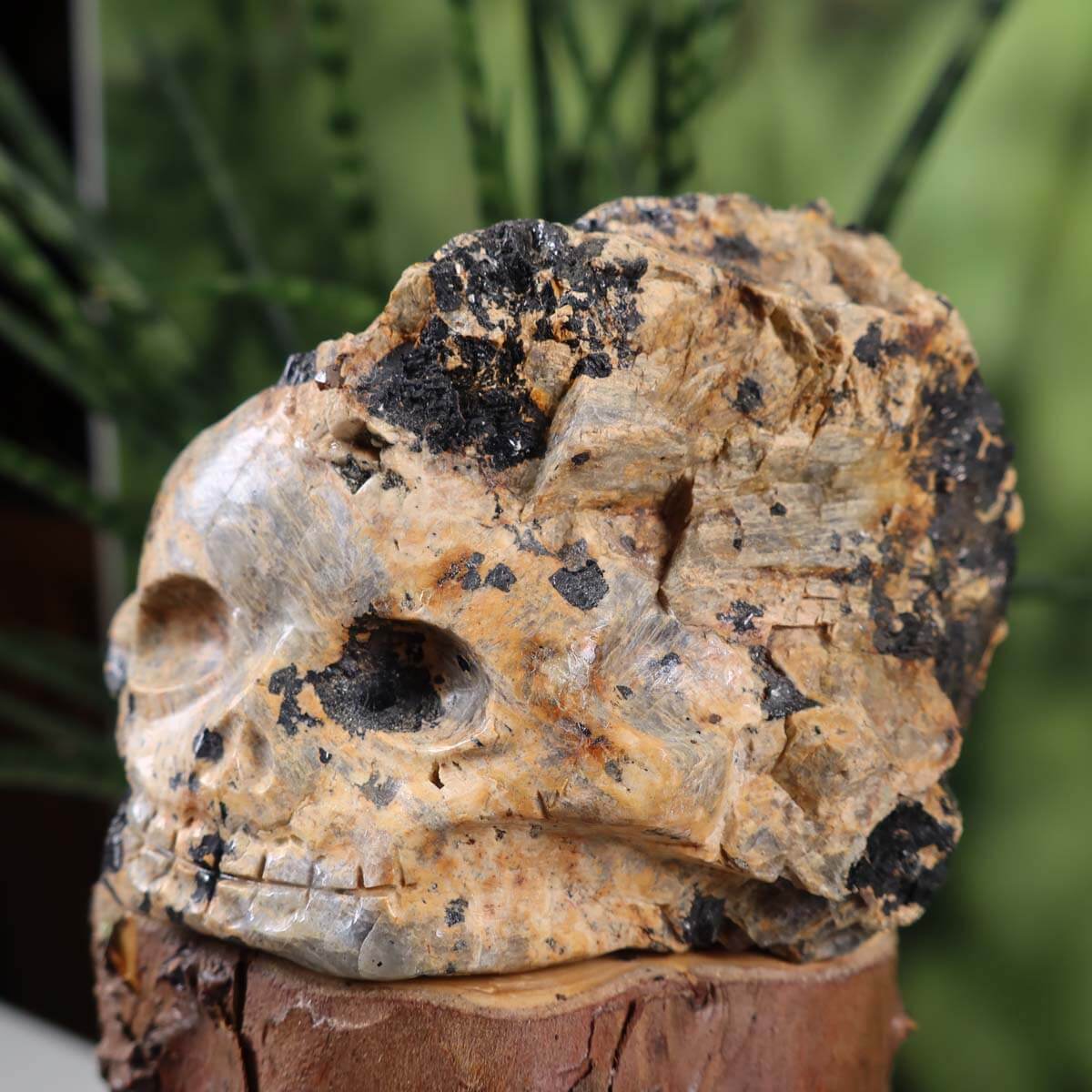 Turmalingestein Kristallschädel handgefertigt- Sammlerstück- 10x8 cm Nr. 188 auf Holzstand