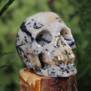 Echter großer Kristall Schädel aus Turmalinquarz, handgefertigtes Unikat von Graz Mineralien, 12x10 cm, einzigartiges Totenkopfdesign.