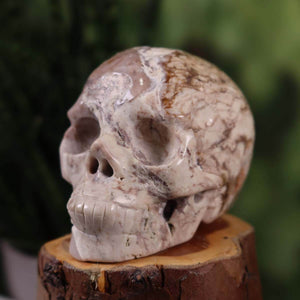 Versteinertes Holz Kristall Schädel handgefertigt auf Holzsockel, einzigartige Form, 8x7 cm, Sammlerstück.