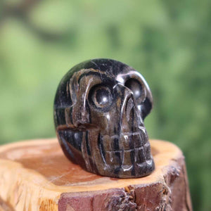 Handcrafted fossilized wood crystal skull, unique collectible from Steinwelten Graz and Wiener Neustadt, 5x4 cm.