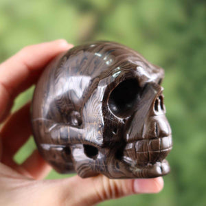 Handcrafted petrified wood crystal skull, unique shape, collectible, 7x6 cm. Keywords: Mineralien, Edelsteine, Steinwelten.