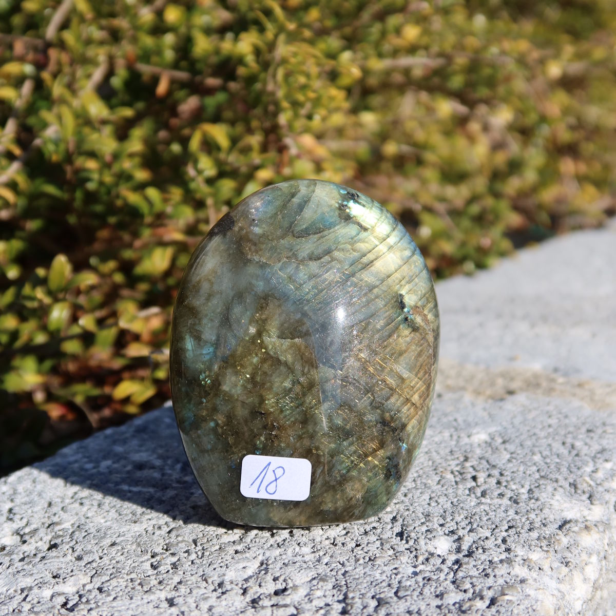 Labradorit Freiform poliert - 7x6cm - Intuition und Kreativität Nr.18 in der Hand, zeigt schimmernde Farben.