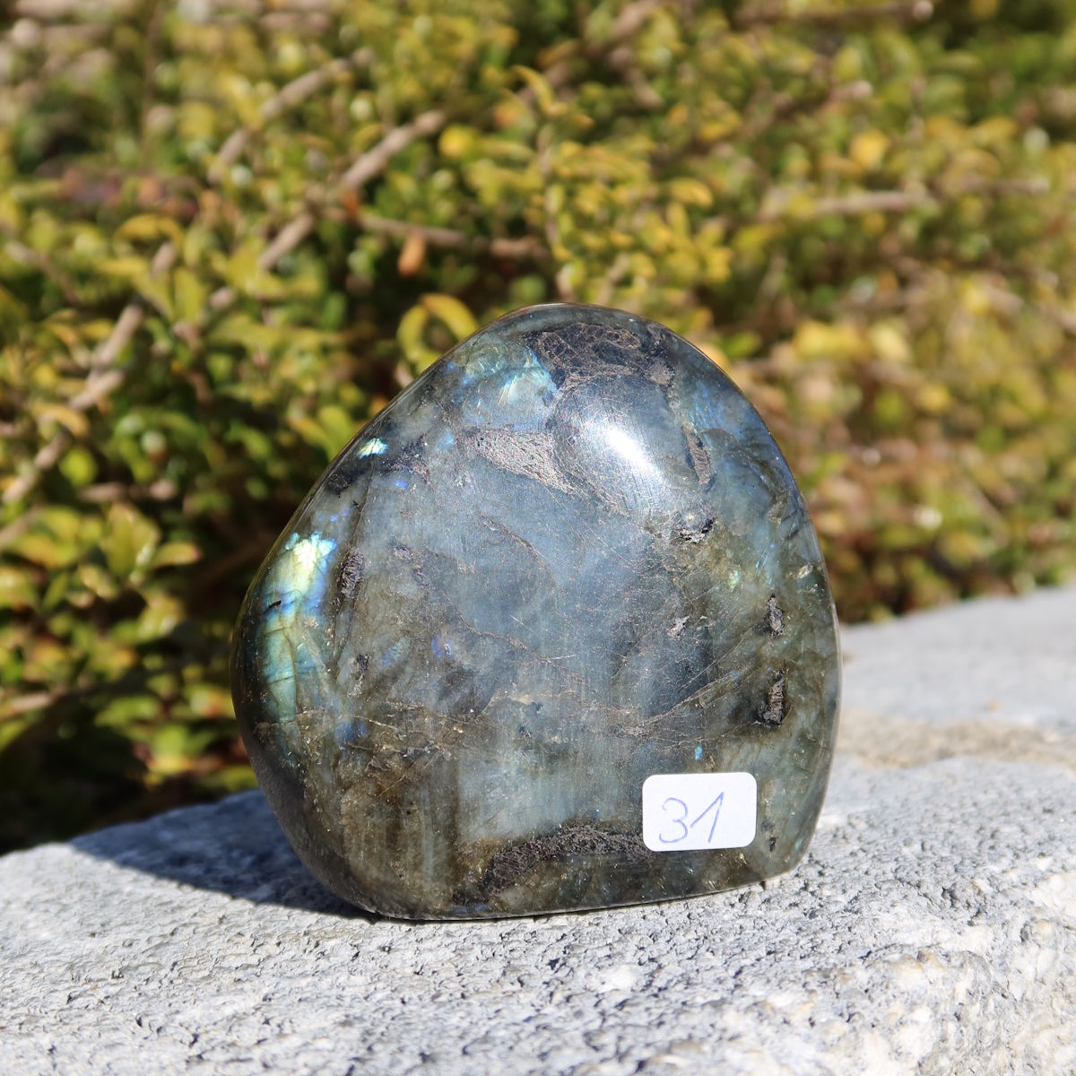Labradorit Freiform poliert - 7x7cm - Intuition und Kreativität Nr.31 in natürlicher Umgebung