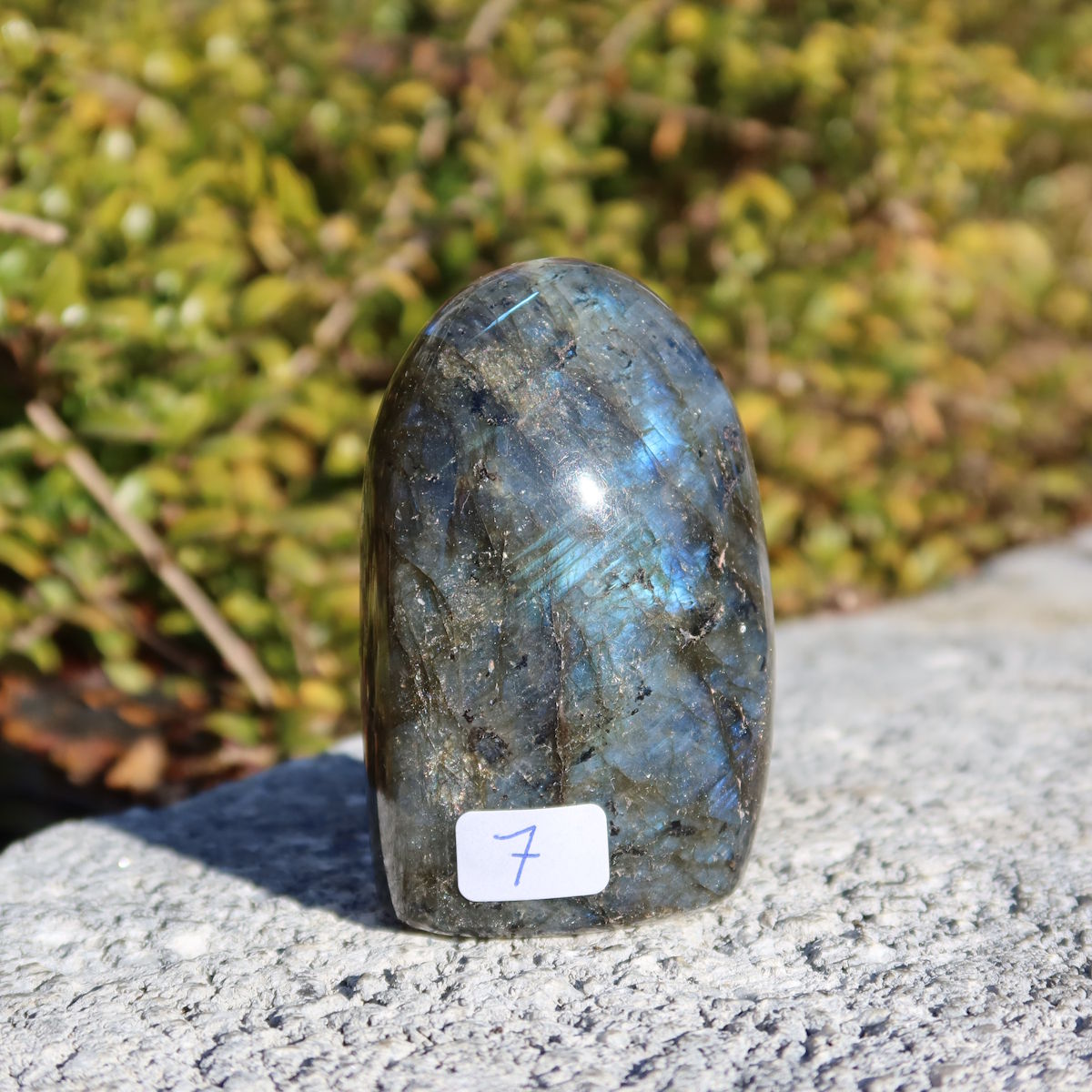 Hand holding Labradorit Freiform poliert - 6x4cm - Intuition und Kreativität Nr.7 with blue light reflections