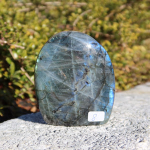 Labradorit Freiform poliert - 8x7cm - Intuition und Kreativität Nr.8, schimmernde Blau- und Grüntöne im Sonnenlicht.