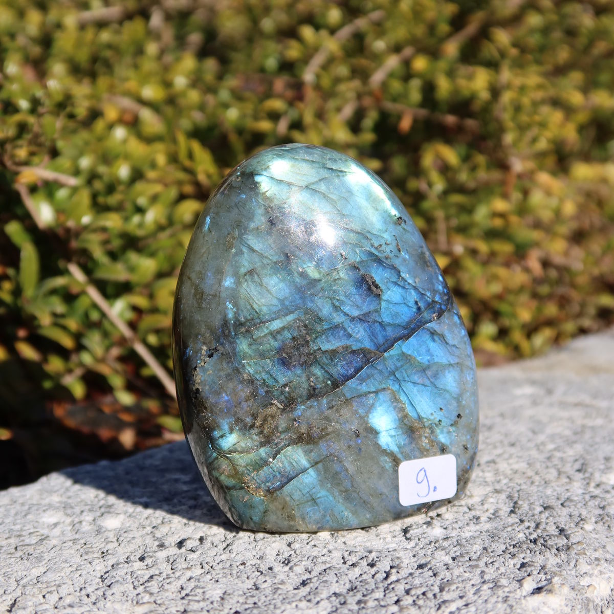 Labradorit Freiform poliert - 7x6cm - Intuition und Kreativität Nr.9 mit schimmernden Blau- und Grüntönen in einer Hand. Naturkunstwerk.