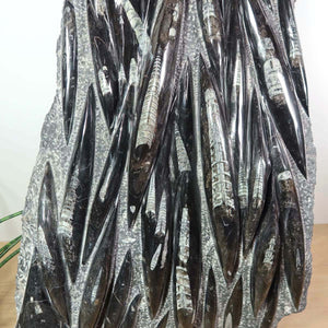 Einzigartige XL Fossile Orthoceras Platte (Tintenfische) - 70x45cm - 280-320 Millionen Jahre - Nr. 11