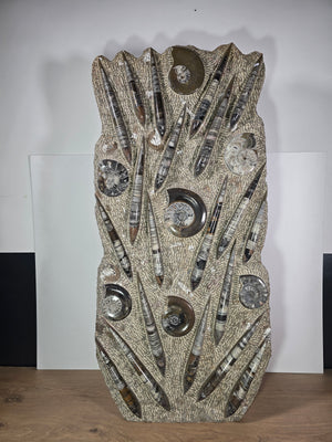 Orthocera und Ammoniten-XL-(freistehend)- 115 x 50cm-280-320 Mill. Jahre -Nr.4 Skulptur mit Fossilien.