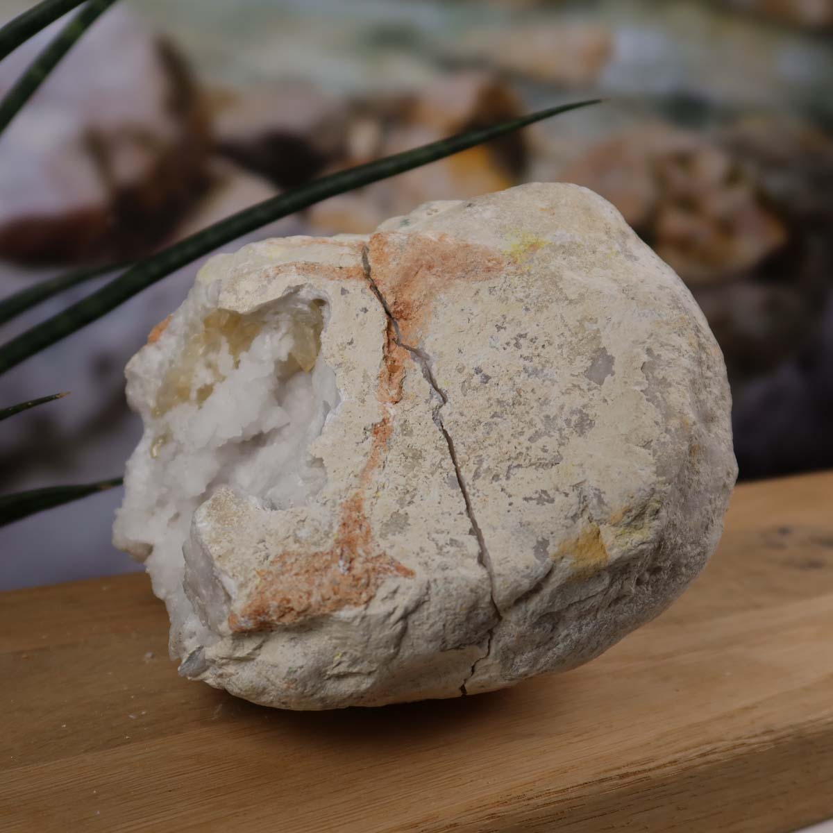 Quarz Geode geöffnet – Glücksgeode – Stabilität und Klarheit – 13x12x9cm - Unikat Nr. 26 auf Holzblock