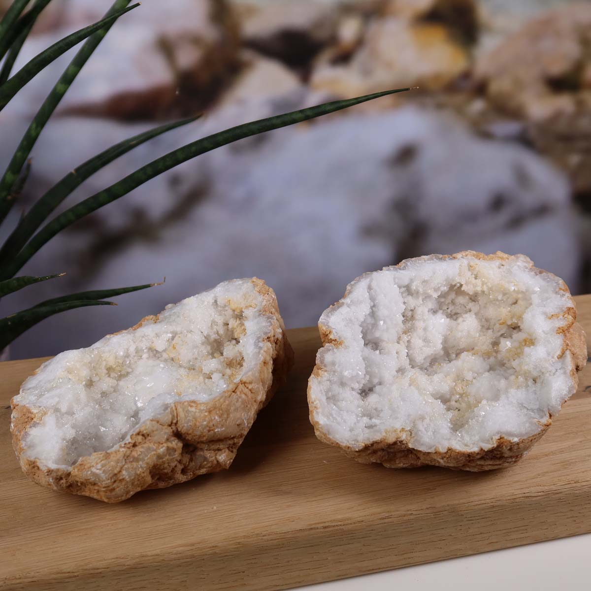 Quarzgeode geöffnet – Glücksgeode – Stabilität und Klarheit – 13x10x8cm - Unikat Nr. 39 auf natürlichem Holz