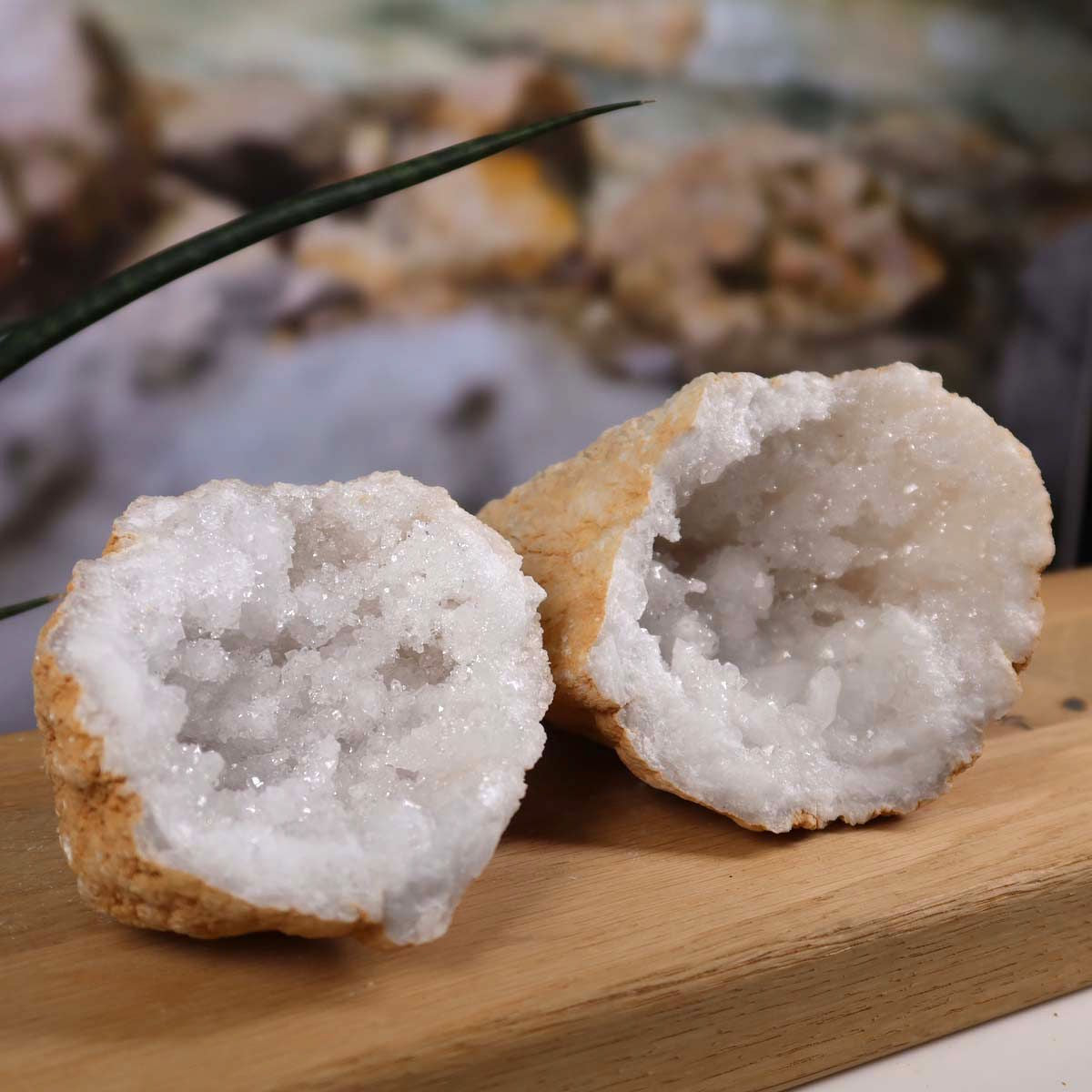 Quarz Geode geöffnet – Glücksgeode – Stabilität und Klarheit – 13x9x8cm - Unikat Nr. 41, dekorativ in Wohnraum präsentiert.