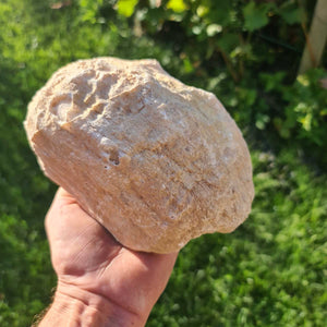 Große Geode kaufen 