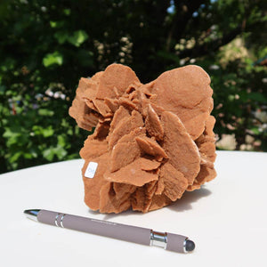 Unique Moroccan sand rose stone displayed next to a pen on a white table, perfect for collectors and enthusiasts.