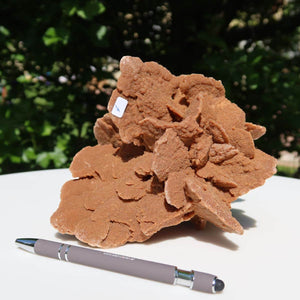 Wunderschöne Sandrose 16x14x14cm Sammlerstück aus Marokko neben Stift, ideal für Sammler und Liebhaber, einzigartige Gipsformation.